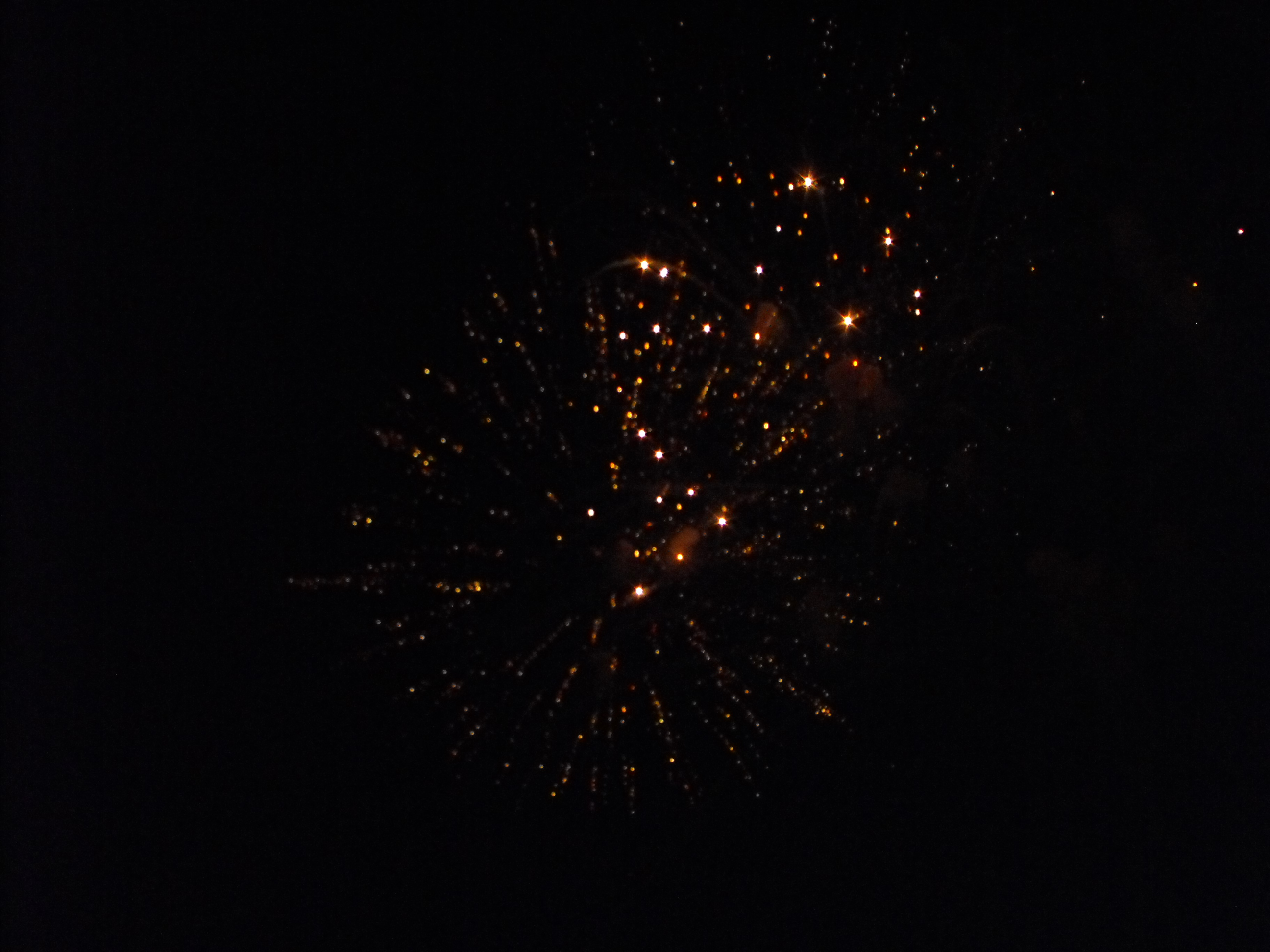 ./2010/Fourth of July/4th July Fireworks Wilm 0018.JPG